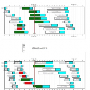 0-6歲兒童發(fā)育篩查法（DDST）丹佛發(fā)育篩查軟件及工具