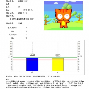 兒童智能發(fā)育篩查測(cè)驗(yàn)DST量表系統(tǒng)軟件及評(píng)估工具的使用