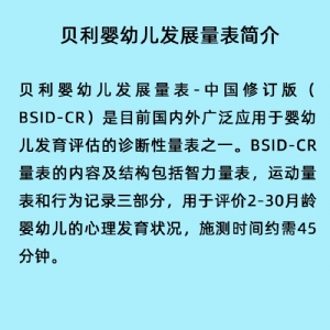 Bayley貝利嬰幼兒發(fā)展量表評估系統(tǒng)工具箱BSID-CR